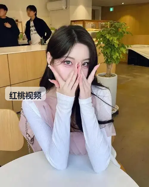 泛目录怎么选更合适 - 红桃视频技术拓扑